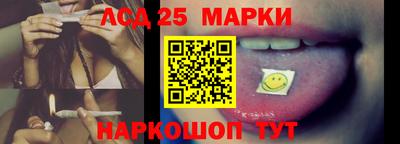 Альфа ПВП Малгобек