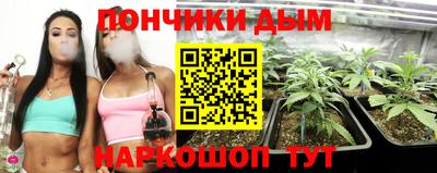 Альфа ПВП Малгобек